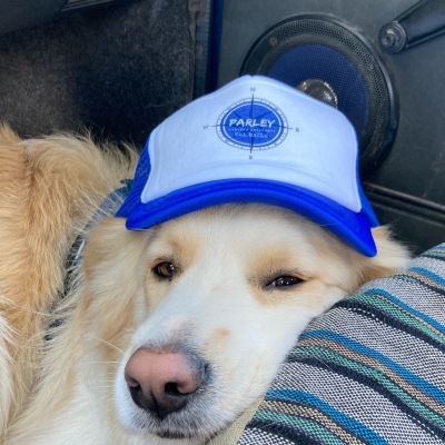 Jockey original Parley